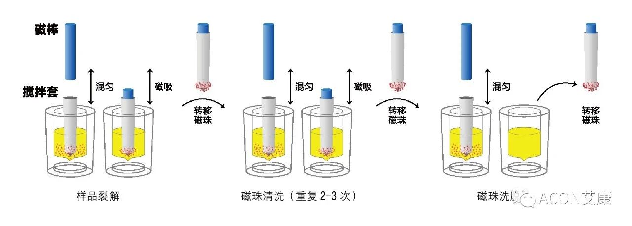 Promotor?核酸提純儀， 讓基因提純更便捷。