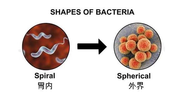 這種致癌物傳染性極強(qiáng)，50%中國(guó)人都有！很多人還不知道