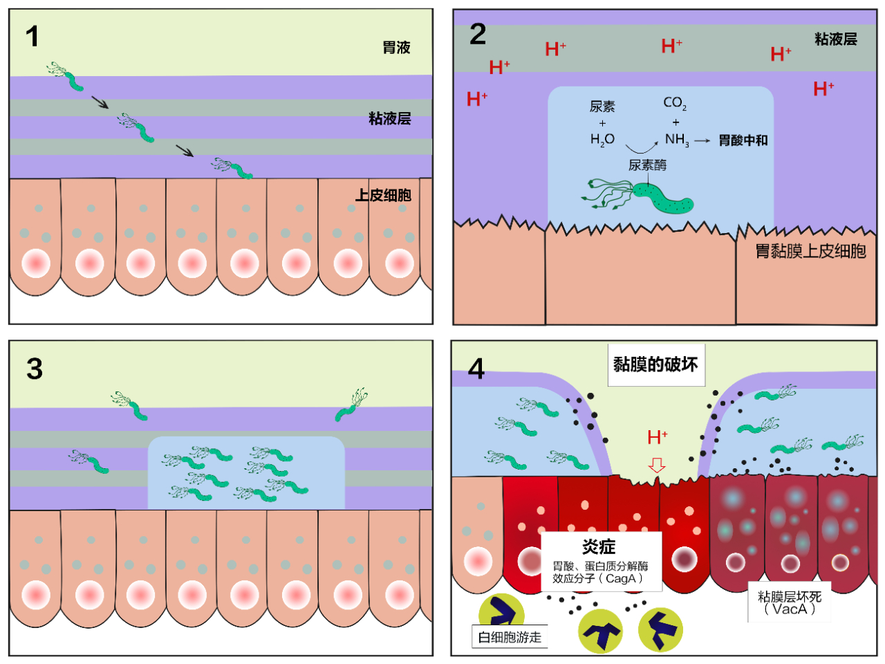 微信圖片_20230901103531.jpg 微信圖片_20230901103531.jpg