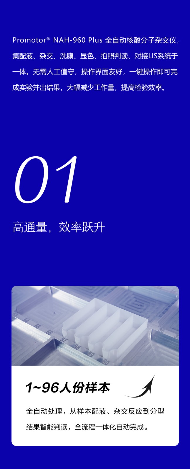 全自動核酸分子雜交儀960_02.jpg