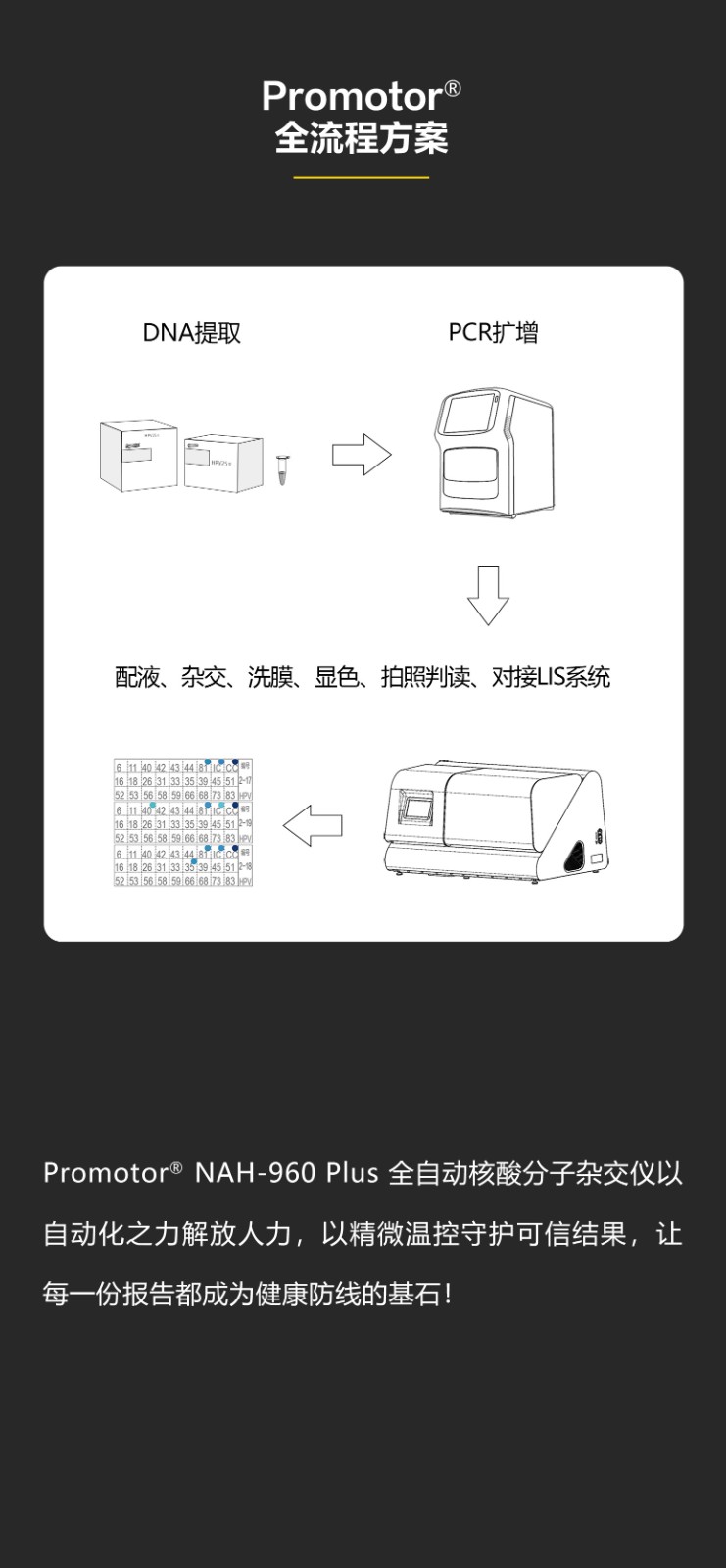 全自動核酸分子雜交儀960_08.jpg